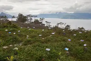 Prosjekt himmel og hav